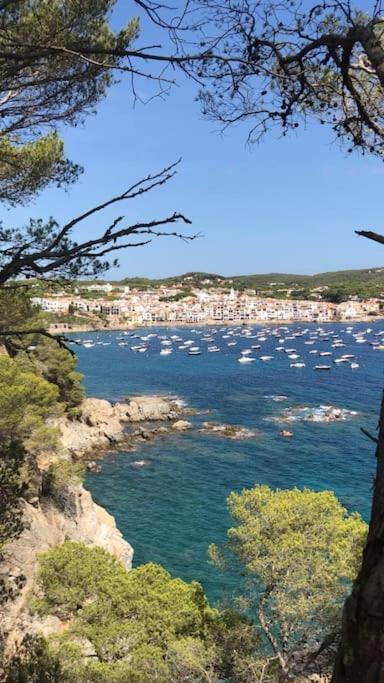 The Golden Oak In Calella Centre - 100M From Beach Palafrugell Eksteriør bilde
